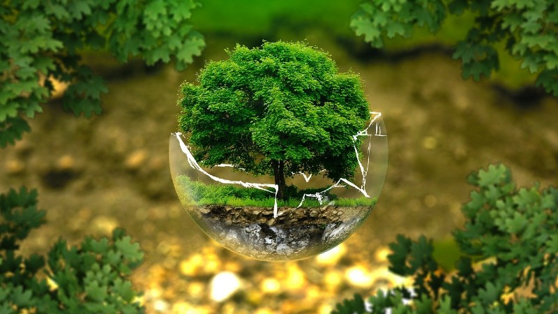 Study Environmental Science in USA